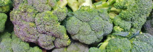 Robert Erneston Produce